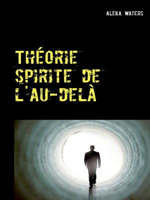 cover image of Théorie spirite de l'au-delà